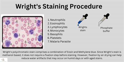 how to make non staining blood